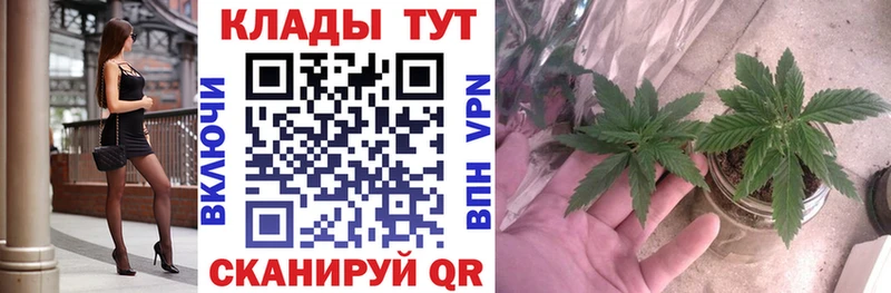 Где можно купить наркотики Старица A PVP  АМФ  Мефедрон  ГАШИШ  COCAIN  ЭКСТАЗИ  Бошки Шишки 