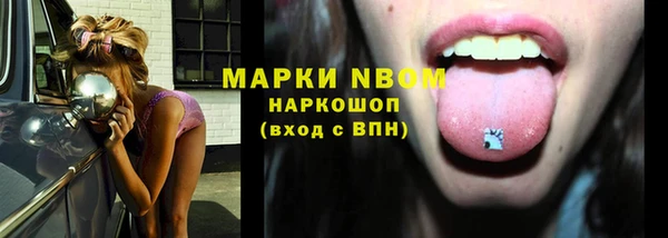 гидра Рославль