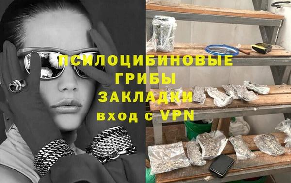 спайс Ельня
