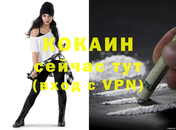 гидра Рославль